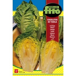 Semilla Lechuga Sucrine (Cogollo Tudela)