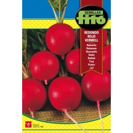 Semilla Rabanito redondo rojo