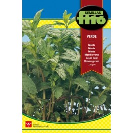 Semilla menta