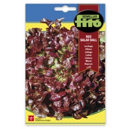Semilla Lechuga hoja de Roble (Red Salad Ball)