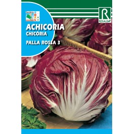 Semilla achicoria Palla Rossa 3