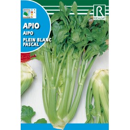 Semilla apio Pascal