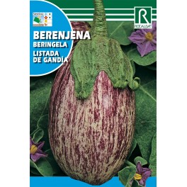 Semilla berenjenalistada de Gandia
