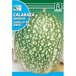 Semilla calabaza cabello de Angel