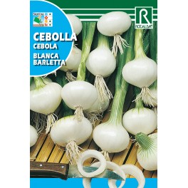 Semilla cebolla blanca barletta