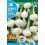Semilla cebolla blanca barletta