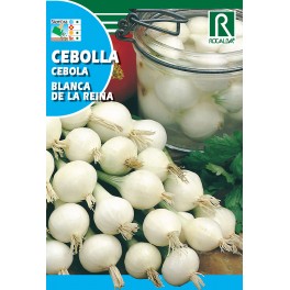 Semilla cebolla blanca de la reina