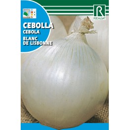 Semilla cebolla blanca de Lisbonne