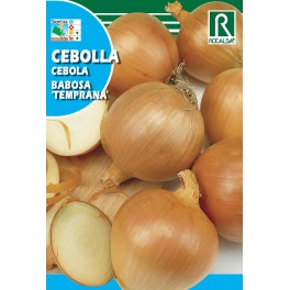 Semilla cebolla babosa temprana