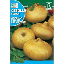 Semilla cebolla amarilla virtudes