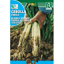 Semilla cebolla Calçot blanca grande tardía de Lleida