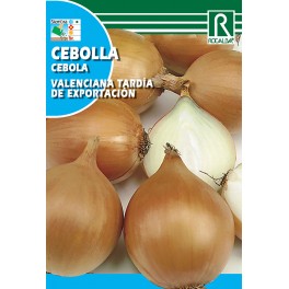 Semilla cebolla valenciana tardía exportación