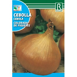 Semilla cebolla de Figueres colorada