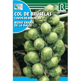 Semilla cel de bruselas medio enana