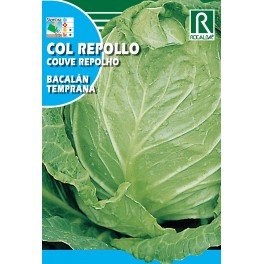 Semilla col repollo Bacalan temprana