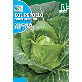 Semilla col repollo corazón de buey grande