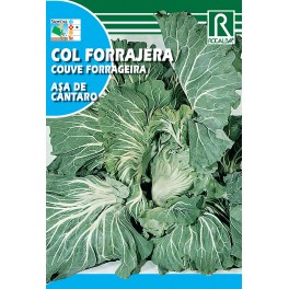 Semilla col forrajera asa de cantaro