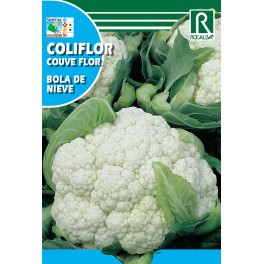 Semilla coliflor bola de nieve