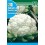 Semilla coliflor flora blanca