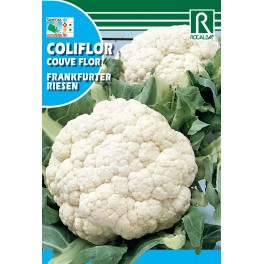 Semilla coliflor frankfurter riesen