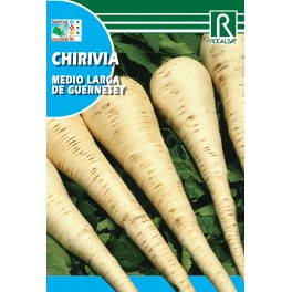 Semilla chirivia de guernesey medio larga