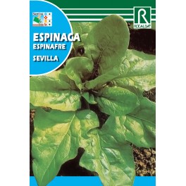 Semilla espinaca Sevilla