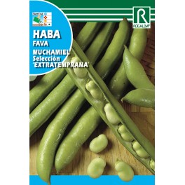 Semilla haba muchamiel extratemprana