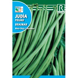 Semilla judía Braimar