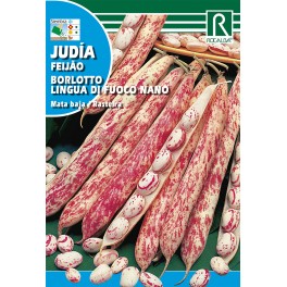 Semilla judía Borlotto