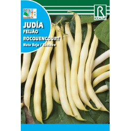 Semilla judía Rocquencourt