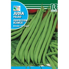 Semilla judía Perfeccion blanca