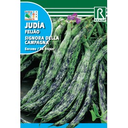 Semilla judía signora della campagna