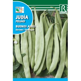 Semilla judía buenos aires