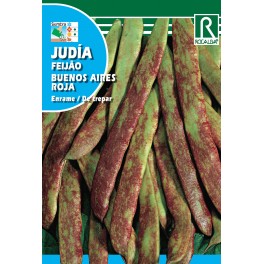Semilla judía buenos aires roja