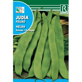 Semilla judía helda