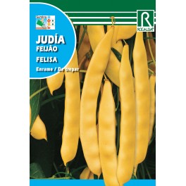 Semilla judía felisa