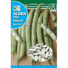 Semilla alubia hidalgo