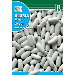 Semilla alubia lingot