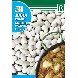 Semilla alubia garrafon valenciano