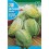 Semilla lechuga sucrine (cogollos)
