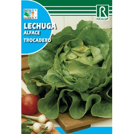 Semilla lechuga trocadero
