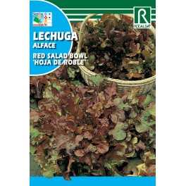 Semilla lechuga red salad bowl "hoja de roble"