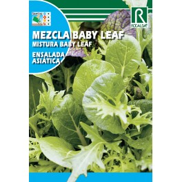 Semilla lechuga Mezcla baby leaf ensalada asiática