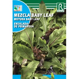 Semilla lechuga Mezcla baby leaf ensalada primavera