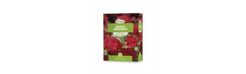 Abono plantas para flor