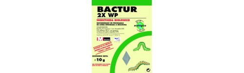 Orugas de huerta y ornamentales