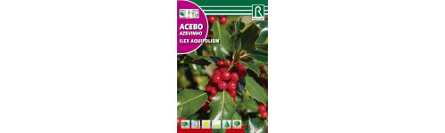 Arboles, arbustos y palmaceas