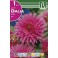 Dalias