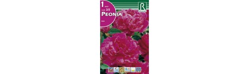 Peonias