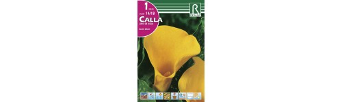 Callas